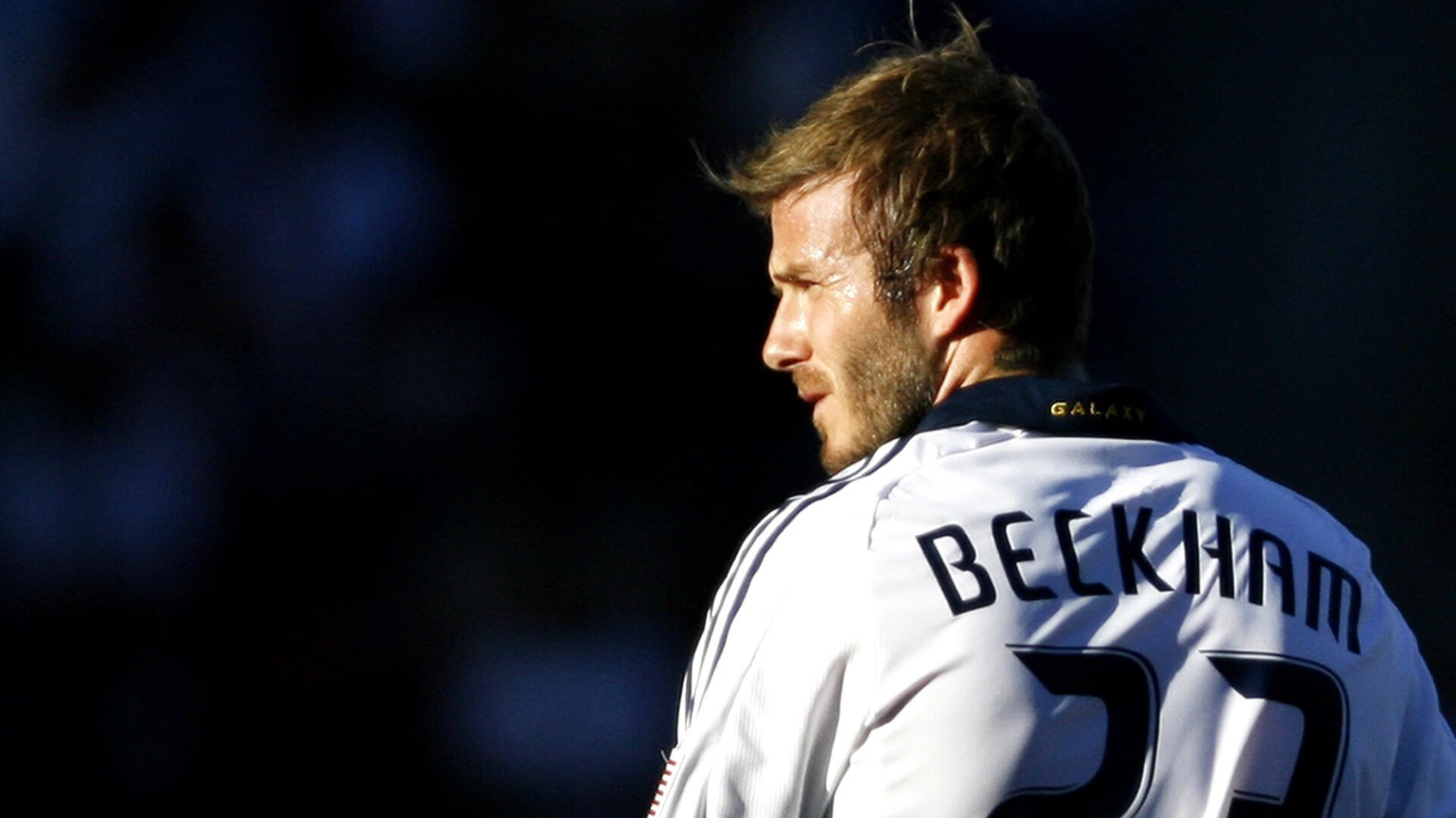 《最受期待的直播嘉宾：明星主播加盟助阵》，见证下一个明星主播报名