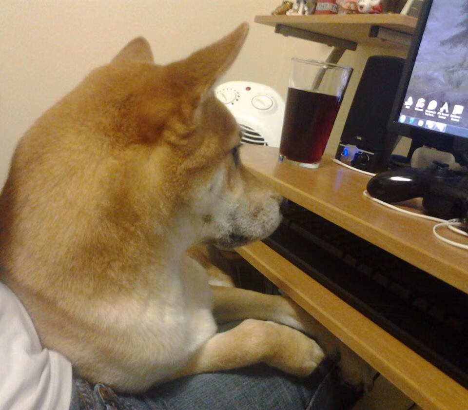 全国青少年“绿色篮球节”在南京全面启动，倡导低碳绿色生活方式