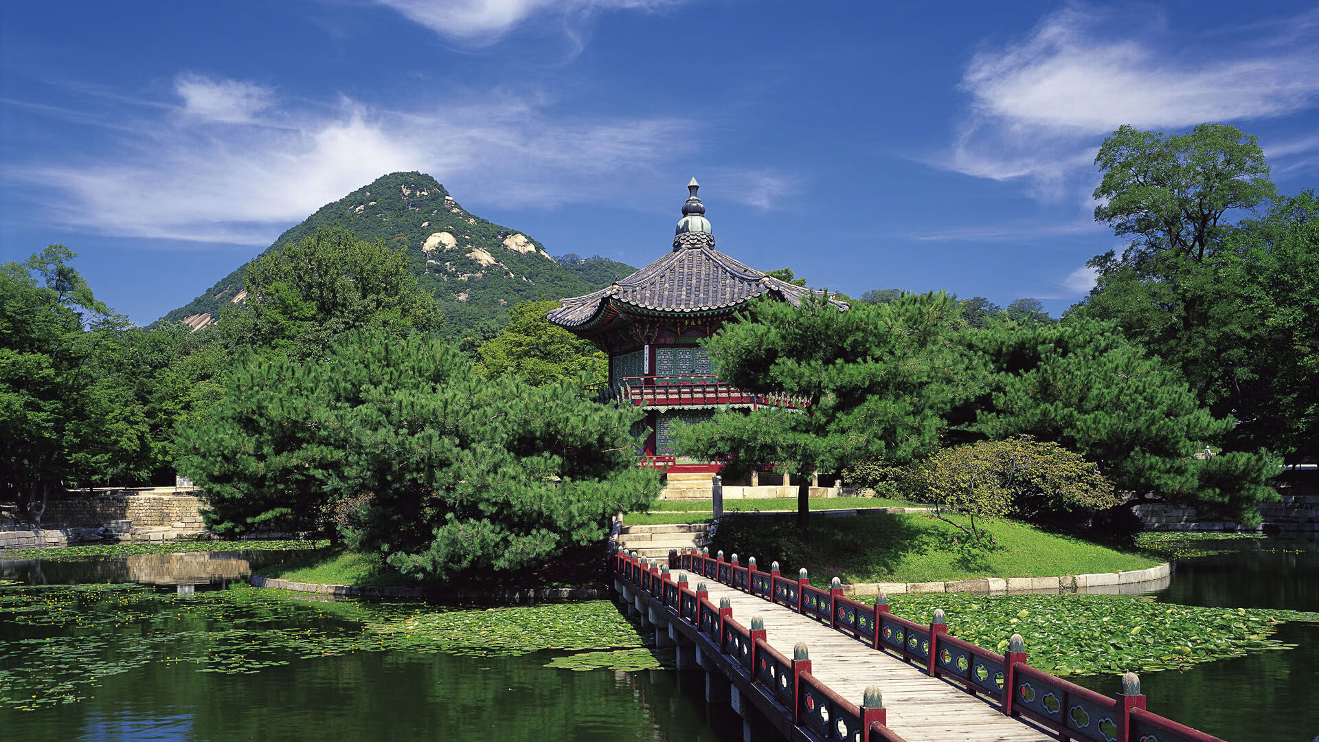 史上最“燃”瞬间：你不容错过的绝杀集锦，绝杀的视频