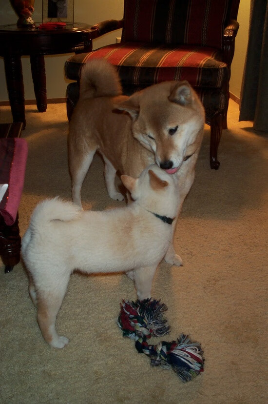 杨明阳归化成功,首次入选国家队,杨明进过国家队吗