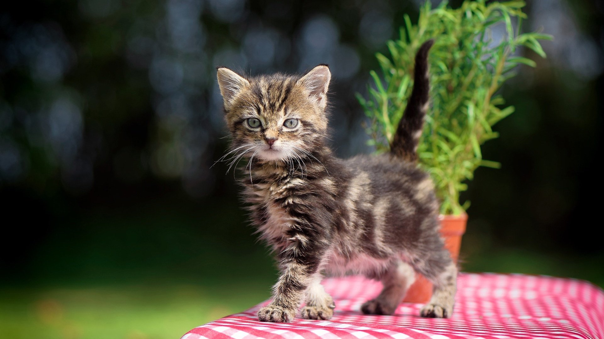 特色乡村越野跑，乡间绿色跑道等你来挑战，乡村越野基地