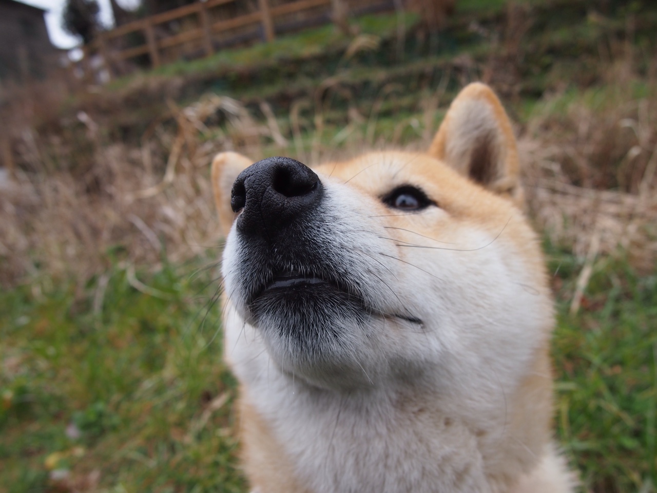 电竞比赛中的个人能力:技术精湛,操作娴熟,电竞比赛术语
