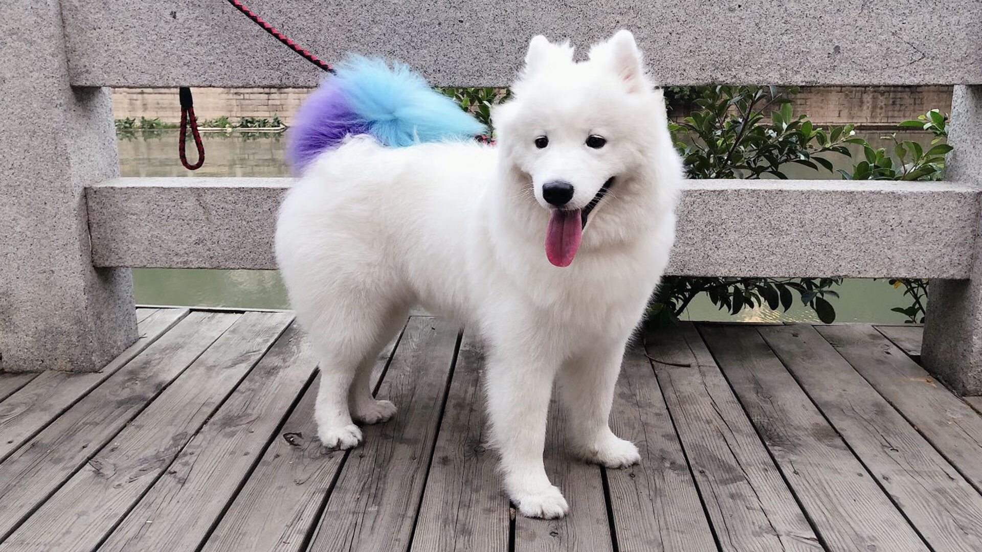 青少年足球竞技水平稳步提升,逐步赶超国际先进水平,青少年 足球