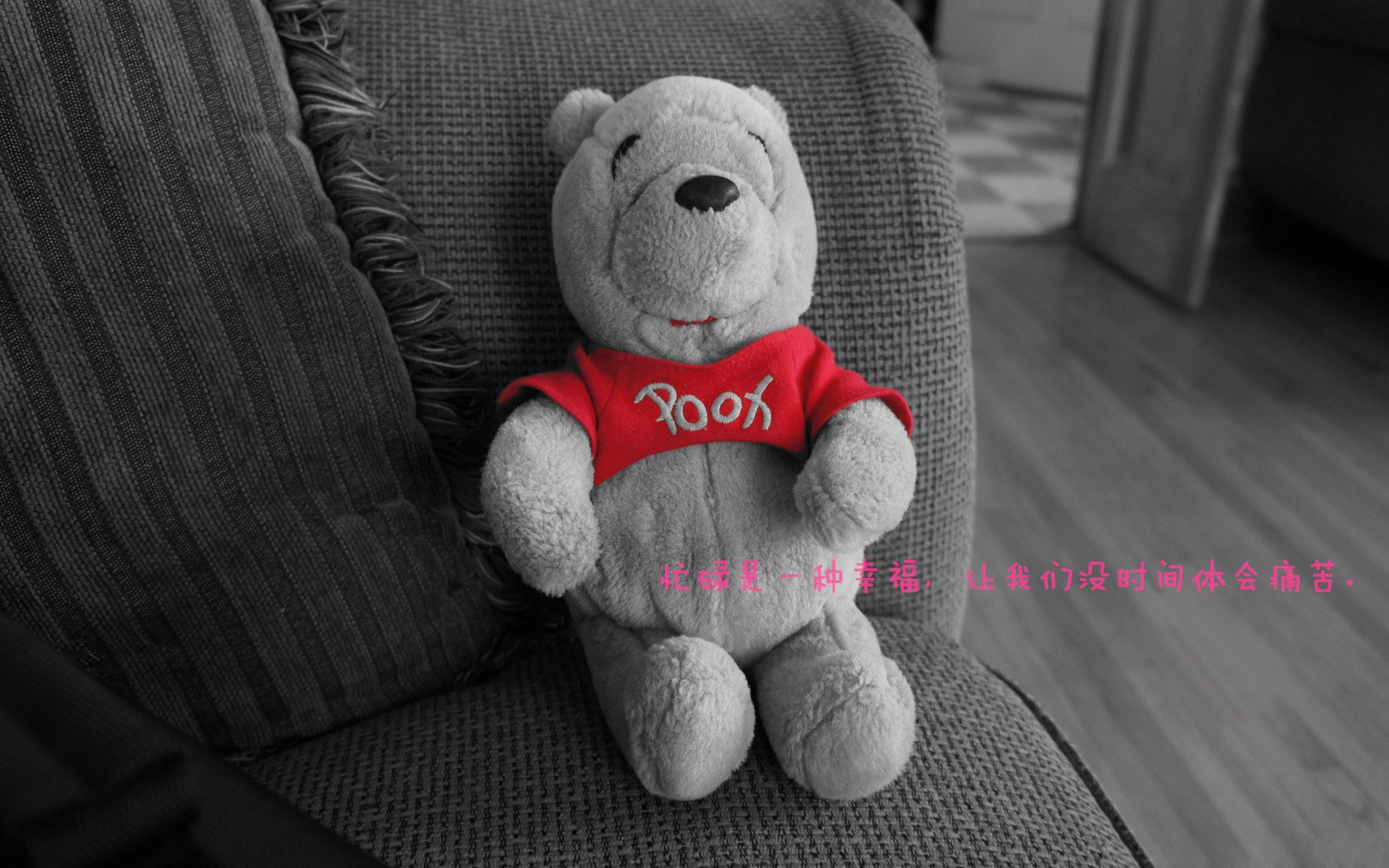 世界柔道大奖赛中国女将斩获金牌，世界柔道锦标赛冠军