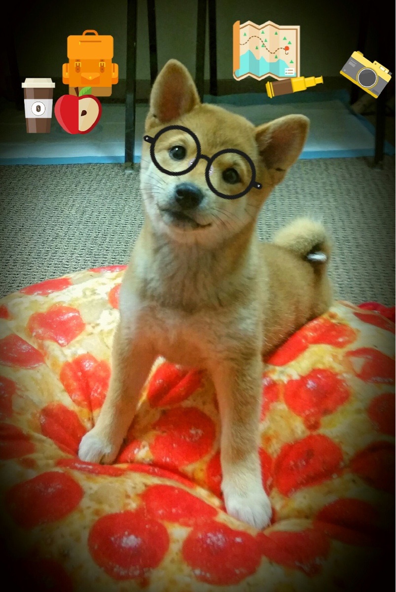 山东高速球队关键时刻表现冷静，山东高速男篮吧 百度贴吧