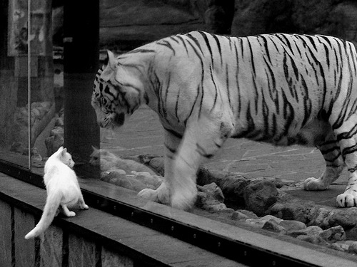 山村-战胜博尔顿，主场保持不败氛围浓厚，山村音乐
