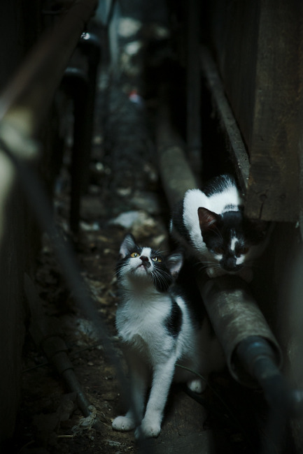 马赛签下实力后卫,马赛队门将