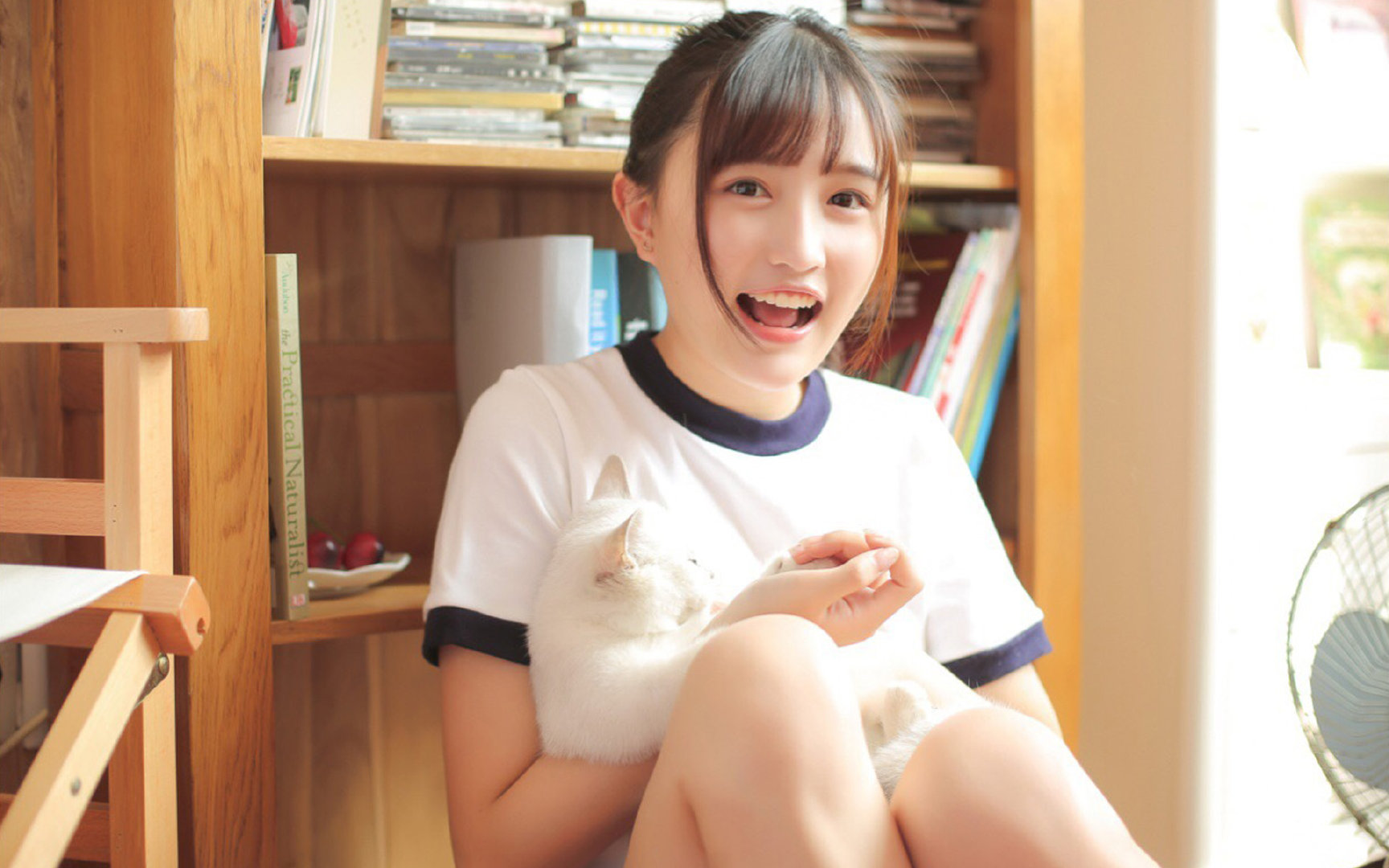 埃及队在2024年混合团体世界杯上的惊艳表现,埃及队的比赛