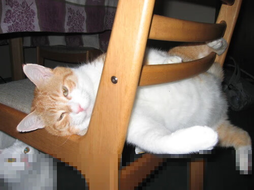 英雄联盟战队文化墙曝光激励语引粉丝共鸣，lol战队宣传海报