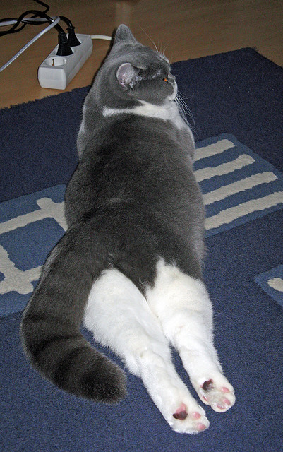 热火后场双枪联手砍下五十分成为致胜组合，热火两连冠对手